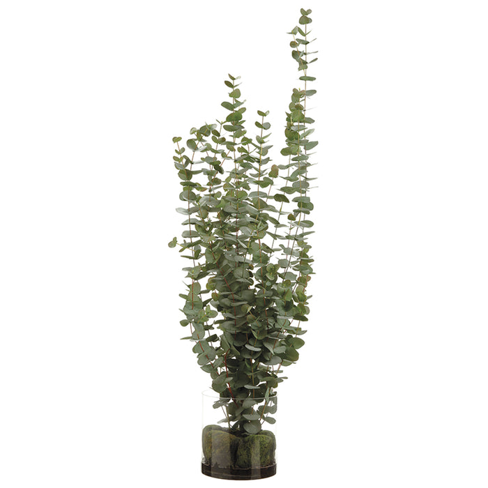 4'8" Silk Eucalyptus Plant w/Glass Vase -Green - WF9196-GR