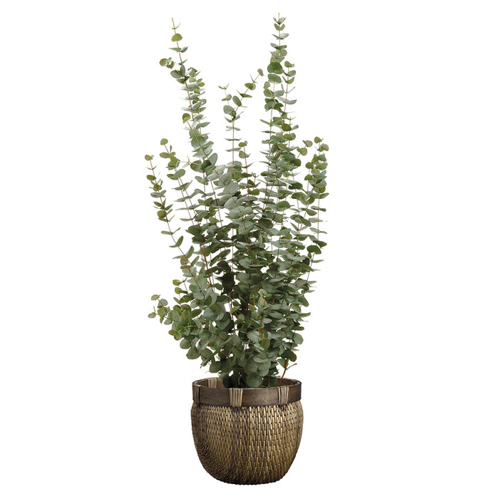 5'6" Silk Eucalyptus Plant w/Basket -Green - WF9199-GR