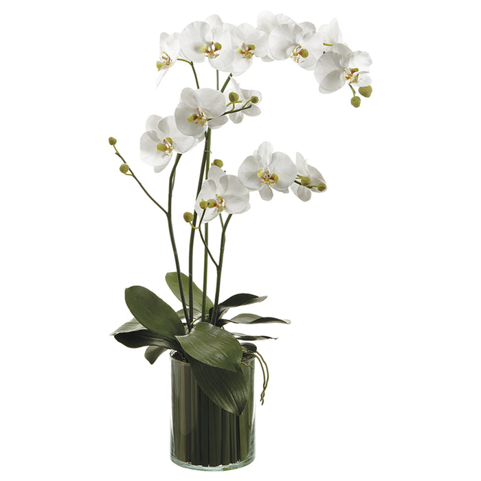 36" Silk Orchid Flower Arrangement w/Soil & Glass Vase -White/Green - WF9210-WH/GR
