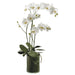 36" Silk Orchid Flower Arrangement w/Soil & Glass Vase -White/Green - WF9210-WH/GR