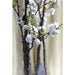 40"Hx19"W Silk Cherry Blossom Flower Arrangement w/Glass Vase -White - WF9218-WH