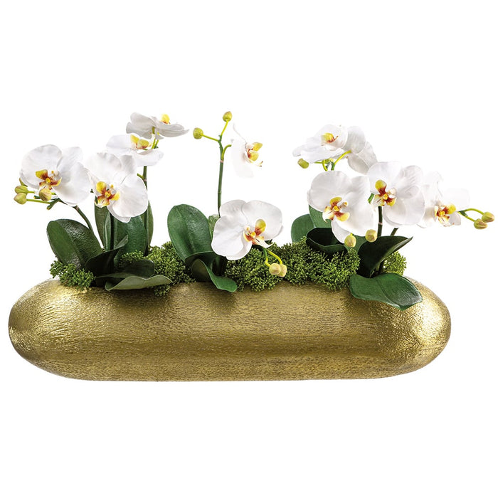 14.5"Hx22.5"W Phalaenopsis Orchid Silk Flower Arrangement w/Aluminum Vase -White/Green - WF9286-WH/GR