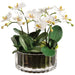 15"Hx16.5"W Phalaenopsis Orchid Silk Flower Arrangement w/Ribbed Glass Vase -White/Green - WF9295-WH/GR