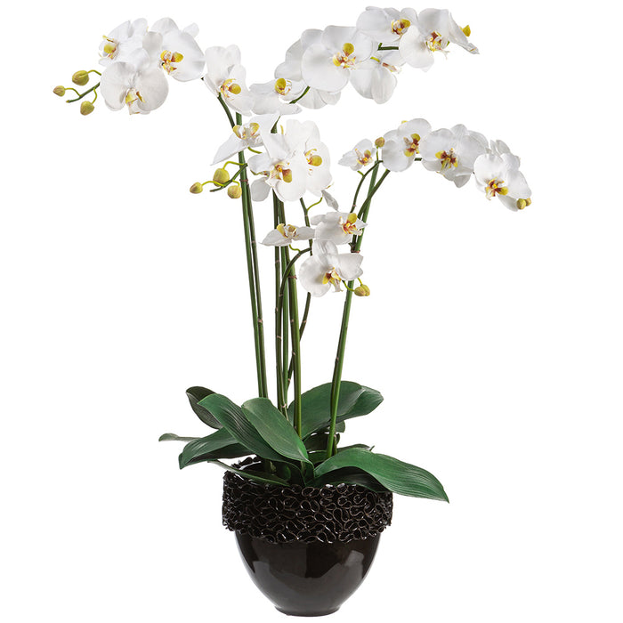 35"Hx25.5"W Phalaenopsis Orchid Silk Flower Arrangement w/Ceramic Bowl -White/Green - WF9296-WH/GR