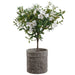 37"Hx28"W Silk Azalea Flower Arrangement w/Planter -White - WF9387-GR/WH