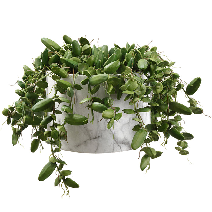 9"Hx14" Artificial Dischidia Succulent Plant w/Pot -Green - WF9396-GR