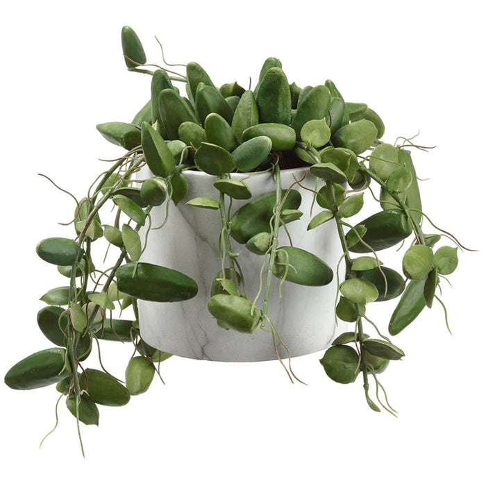 7"Hx13" Artificial Dischidia Succulent Plant w/Pot -Green - WF9397-GR