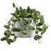 7"Hx13" Artificial Dischidia Succulent Plant w/Pot -Green - WF9397-GR
