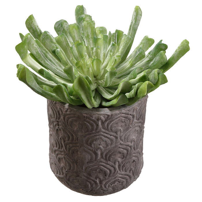 artificial echeveria succulent 11"Hx10" Artificial Echeveria Succulent Plant w/Pot -Green — Silks Are Forever