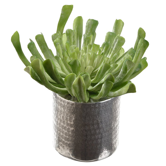 10.5"Hx9.5" Artificial Echeveria Succulent Plant w/Planter -Green - WF9402-GR