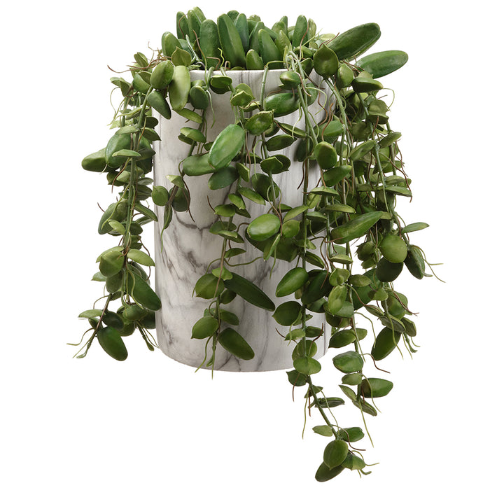ants succulents Hanging Artificial Dischidia Succulent Ant Plant w/Planter -Green — Silks Are Forever