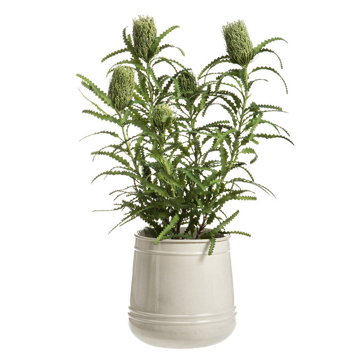 43"Hx29"W Artificial Banksia Protea Flower Arrangement w/Pot -Green/Gray - WF9515-GR/GY