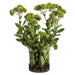 25"Hx20"W Artificial Sedum Flower Arrangement w/Glass Vase -Green/Burgundy - WF9529-GR/BU