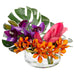 8"Hx17"W Orchid, Anthurium & Leaf Silk Flower Arrangement w/Glass Vase -Beauty/Purple - WF9533-BT/PU