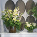37"Hx37"W Queens Anne's Lace, Foxglove & Grass Silk Flower Arrangement w/Glass Vase -White/Pink - WF9588-WH/PK