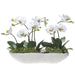 14.5"Hx23"W Phalaenopsis Orchid & Skimmia Silk Flower Arrangement w/Long Coral Vase -White/Green - WF9592-WH/GR