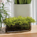 9"Hx21"W Baby's Breath & Twig Silk Flower Arrangement w/Glass Vase -Light Green - WF9593-GR/LT