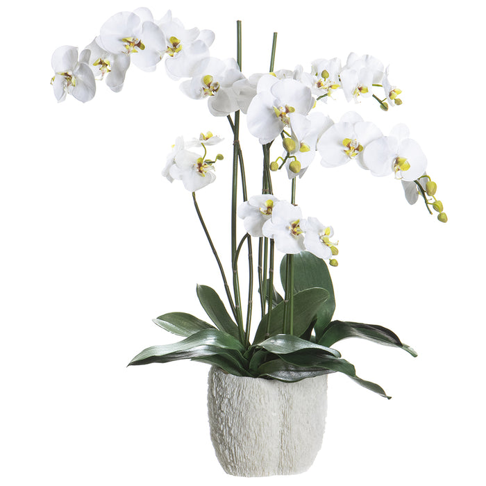 32"Hx25.5"W Phalaenopsis Orchid Silk Flower Arrangement w/Coral Vase -White/Green - WF9594-WH/GR