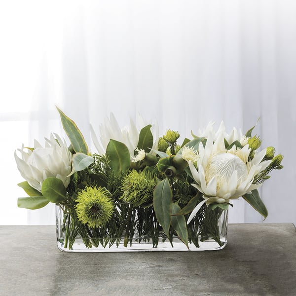 13"Hx23"W Silk Protea, Eucalyptus & Wolly Flower Arrangement w/Glass Vase -Cream/Green - WF9814-CR/GR