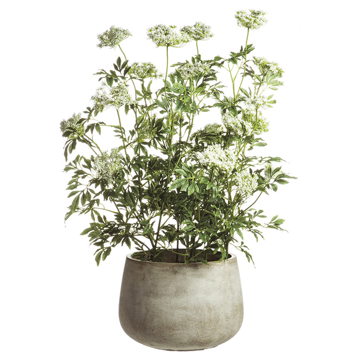 46" Silk Queen Anne's Lace Flower Arrangement w/Cement Pot -Green/White - WF9841-GR/WH