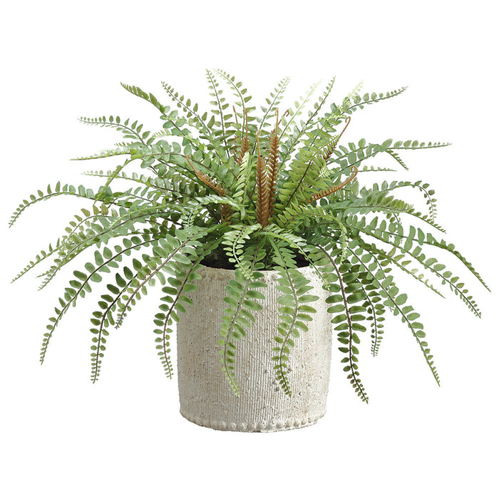14" Sword Fern Leaf Silk Plant w/Cement Container -Green - WP0665-GR