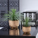 15"Hx16"W Artificial Whipple Yucca Plant w/Textured Planter -Green/Gray - WP0692-GR/GY