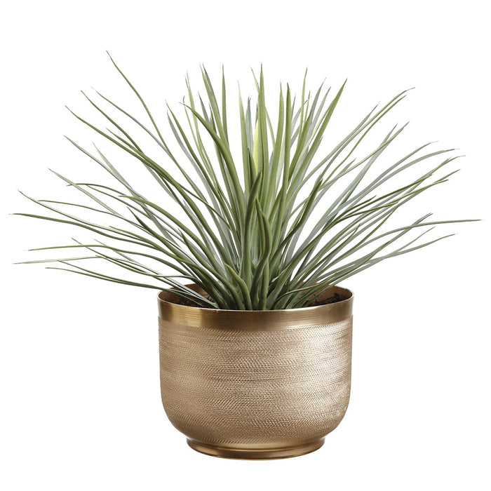 15"Hx16"W Artificial Whipple Yucca Plant w/Textured Planter -Green/Gray - WP0692-GR/GY