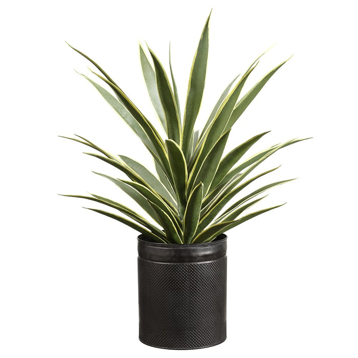 29"Hx20"W Artificial Yucca Plant w/Tin Planter -Variegated - WP0703-VG