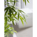 6'8"Hx43"W Bamboo Silk Tree w/Planter & Stand -Green - WP0704-GR