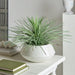 20" Artificial Whipple Yucca Plant w/Iron Planter -Flocked Green - WP0722-GR/FK
