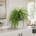 18.5" Mixed Grass & Driftwood Artificial Plant w/Coral Vase -Green/Brown - WP0724-GR/BR