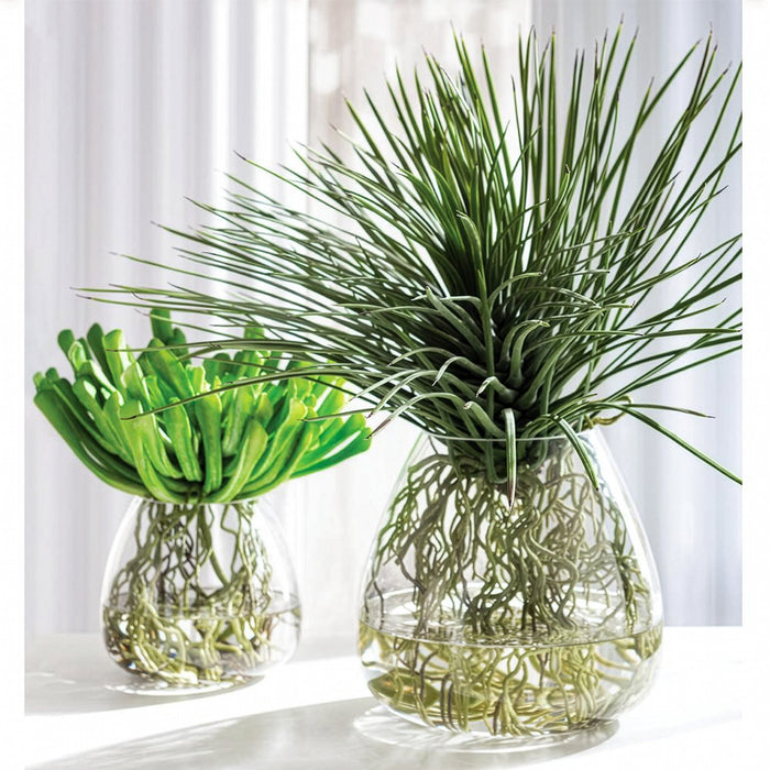 24"Hx24"W Whipple Yucca Grass & Roots Artificial Plant w/Glass Vase -Green - WP0729-GR