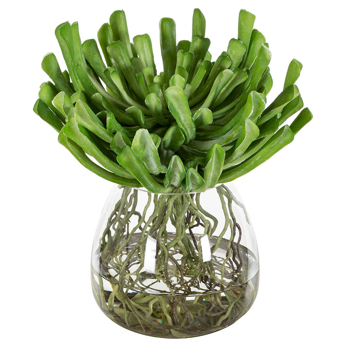 13"Hx11.5"W Echeveria Succulent & Roots Artificial Plant w/Glass Vase -Green - WP0730-GR