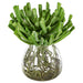 13"Hx11.5"W Echeveria Succulent & Roots Artificial Plant w/Glass Vase -Green - WP0730-GR