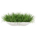 10"Hx26"W Soft-Touch Grass Artificial Plant w/Low Coral Vase -Green - WP0745-GR