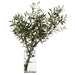 32"Hx33.5"W Olive Branch Artificial Tree w/Glass Vase -Green - WP0747-GR/TT