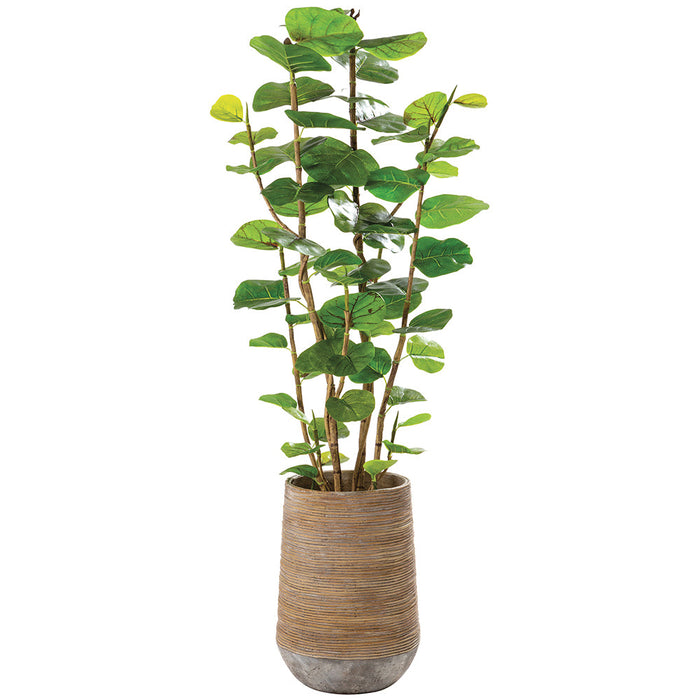 5'9"Hx24"W Seagrape Leaf Artificial Tree w/Cement Planter -Green - WP0752-GR