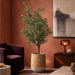 4'4"Hx38"W Olive Leaf Artificial Tree w/Cement Planter -Green - WP0753-GR