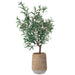 4'4"Hx38"W Olive Leaf Artificial Tree w/Cement Planter -Green - WP0753-GR