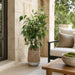 4'6"Hx34"W Blooming Eucalyptus Leaf Artificial Tree w/Cement Planter -Green - WP0754-GR