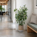 4'6"Hx34"W Blooming Eucalyptus Leaf Artificial Tree w/Cement Planter -Green - WP0754-GR