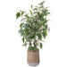 4'6"Hx34"W Blooming Eucalyptus Leaf Artificial Tree w/Cement Planter -Green - WP0754-GR
