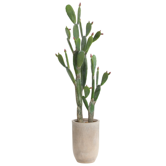 5'4"Hx25"W Bunny Ear Cactus Artificial Plant w/Cement Planter -Green - WP0760-GR
