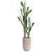 5'4"Hx25"W Bunny Ear Cactus Artificial Plant w/Cement Planter -Green - WP0760-GR