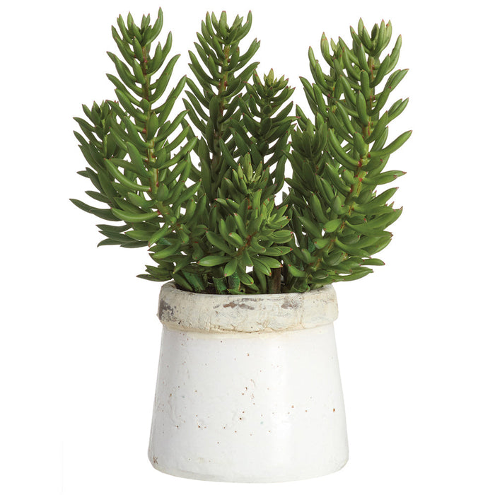 18"Hx14"W Senecio Succulent Artificial Plant w/Stoneware Container -Green - WP0761-GR