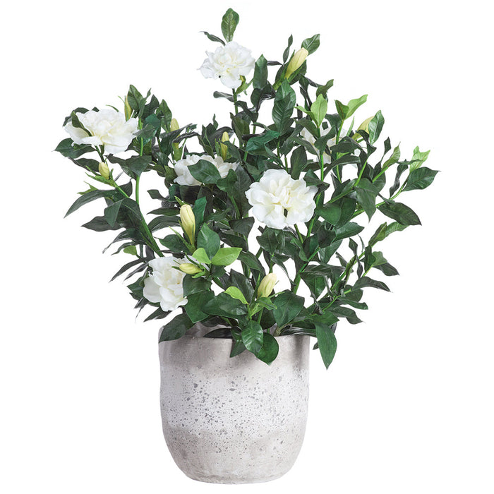 24"Hx24"W Gardenia Silk Flower Arrangement w/Cement Planter -Cream/Green - WP0763-CR/GR