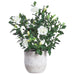 24"Hx24"W Gardenia Silk Flower Arrangement w/Cement Planter -Cream/Green - WP0763-CR/GR