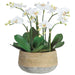 18"Hx16"W Phalaenopsis Orchid Silk Flower Arrangement w/Cement Pot -White - WP0764-WH