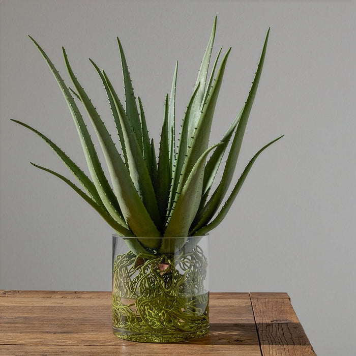 26"Hx20"W Agave With Roots Artificial Plant w/Glass Vase -Green - WP0765-GR