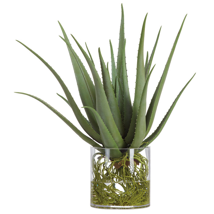 26"Hx20"W Agave With Roots Artificial Plant w/Glass Vase -Green - WP0765-GR